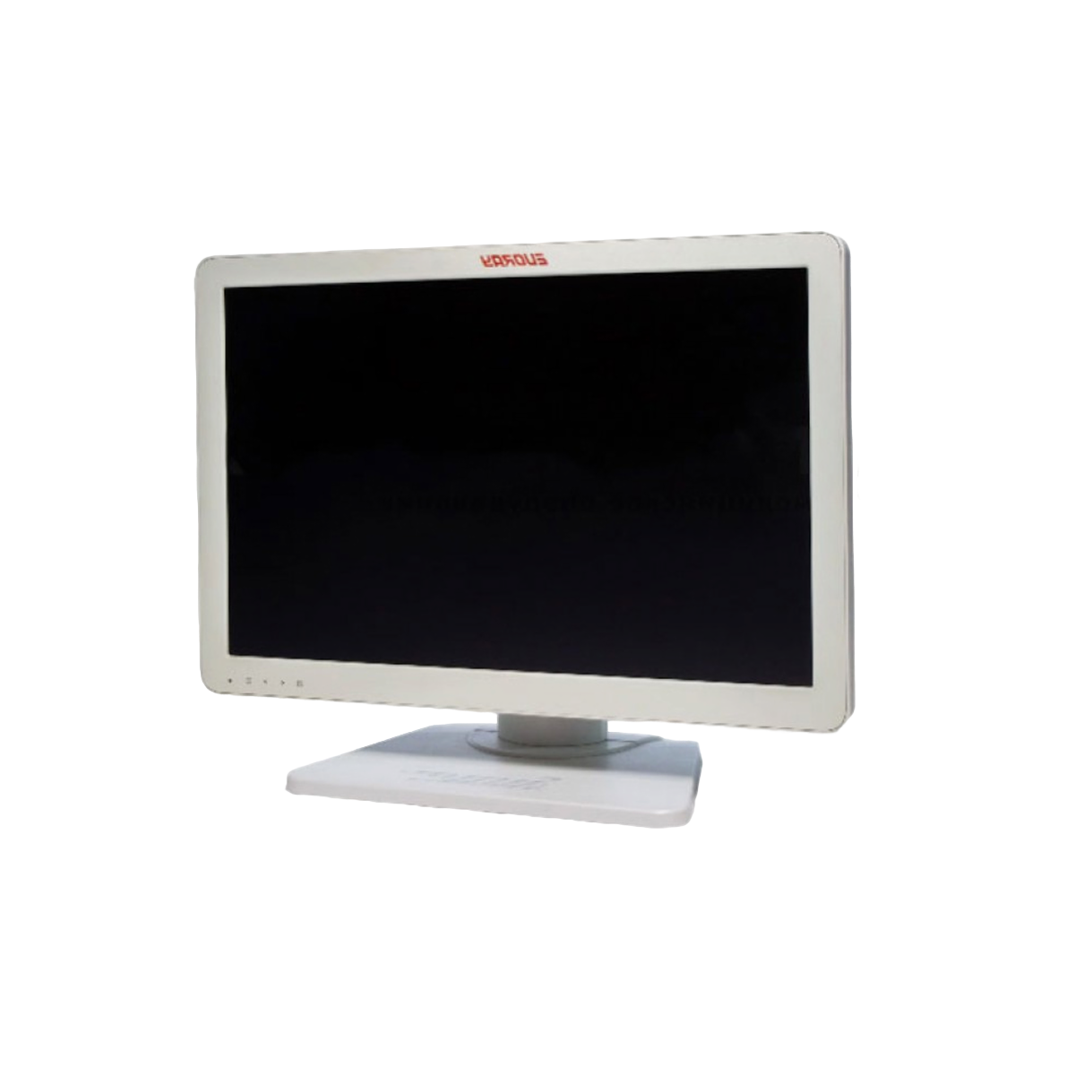 Монитор 32" Full HD эндоскопический-хирургический EVORAY S3221P