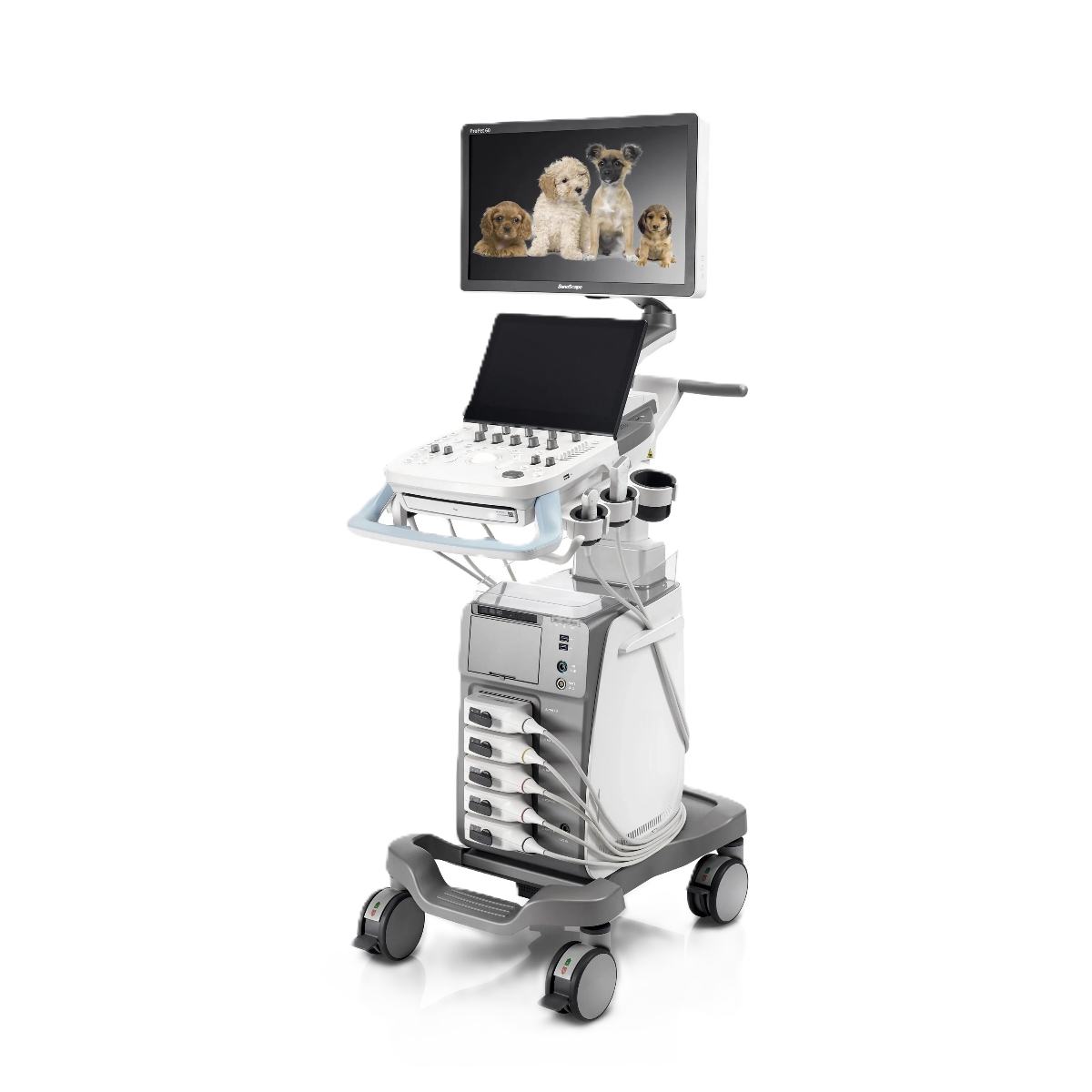 УЗИ аппарат SonoScape ProPet 60
