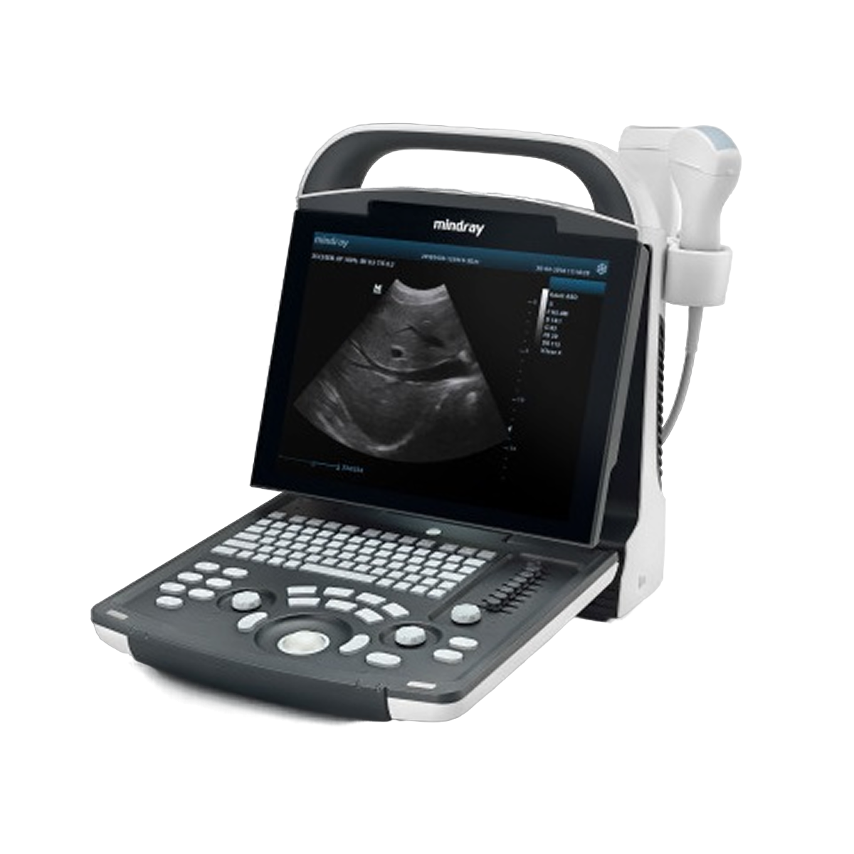 Ультразвуковая диагностическая система Mindray DP-30 Vet